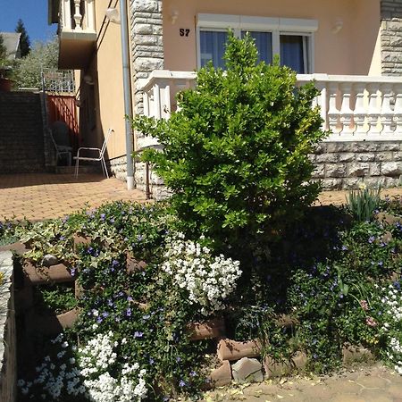 Alom Haz Apartment ซาลาคาโรส ภายนอก รูปภาพ